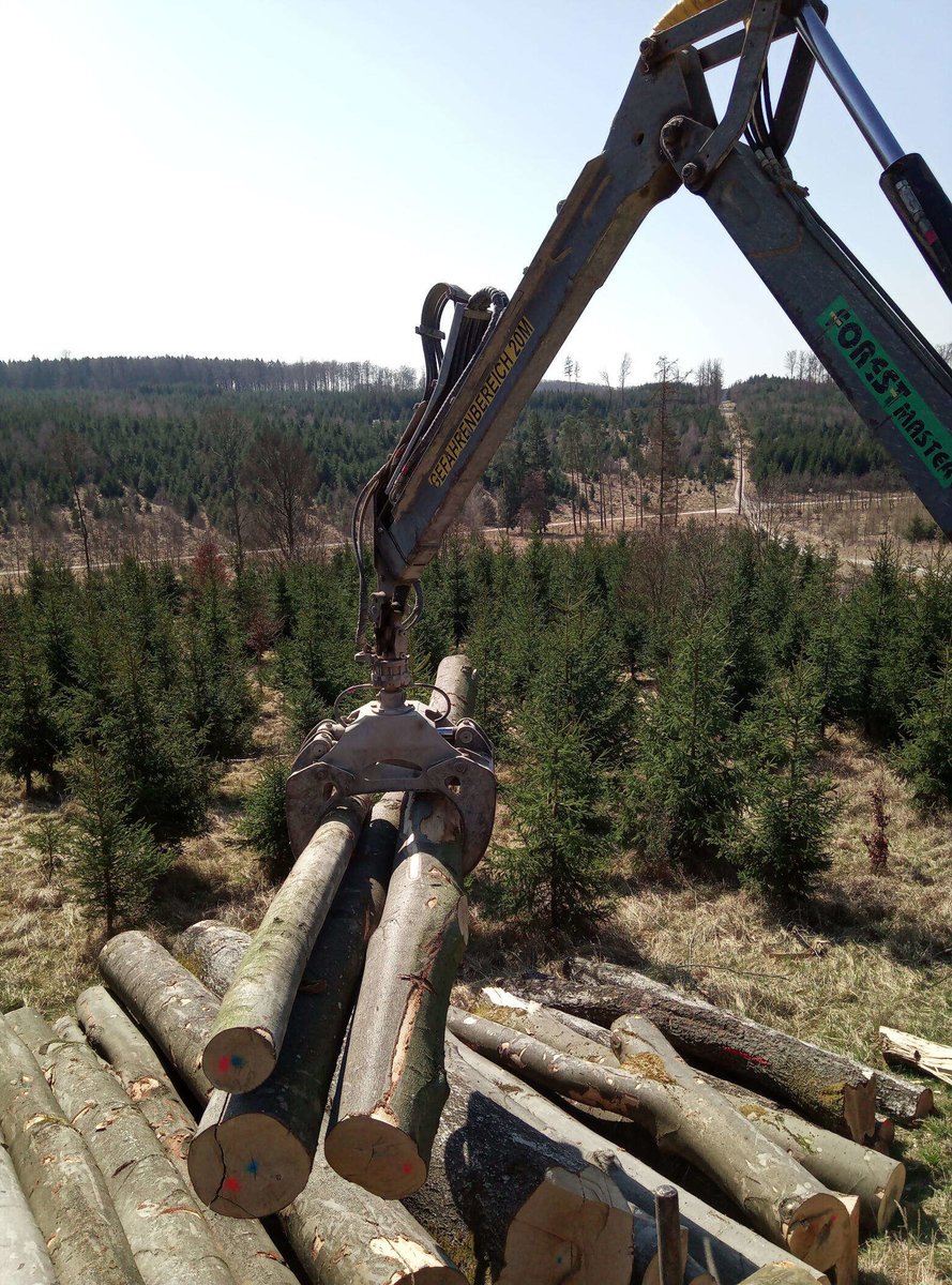 Rohstoff Holz aus österreichischem Wald