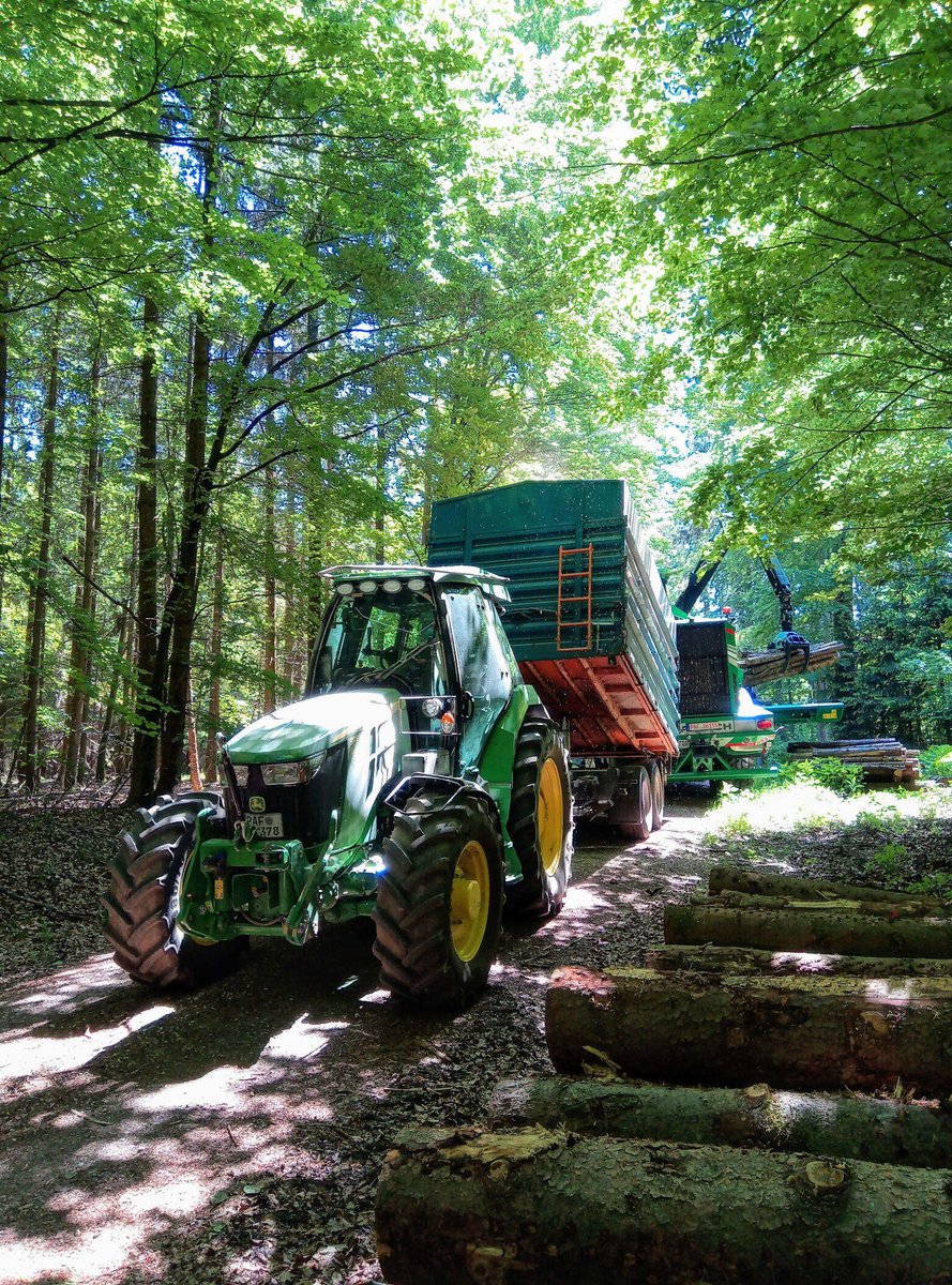 Holz aus heimischen Wäldern